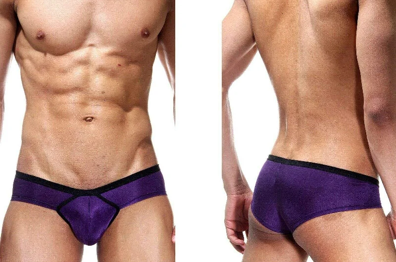 doreanse-brief-slip-boost-cheeky-microfiber-purple-1377-20