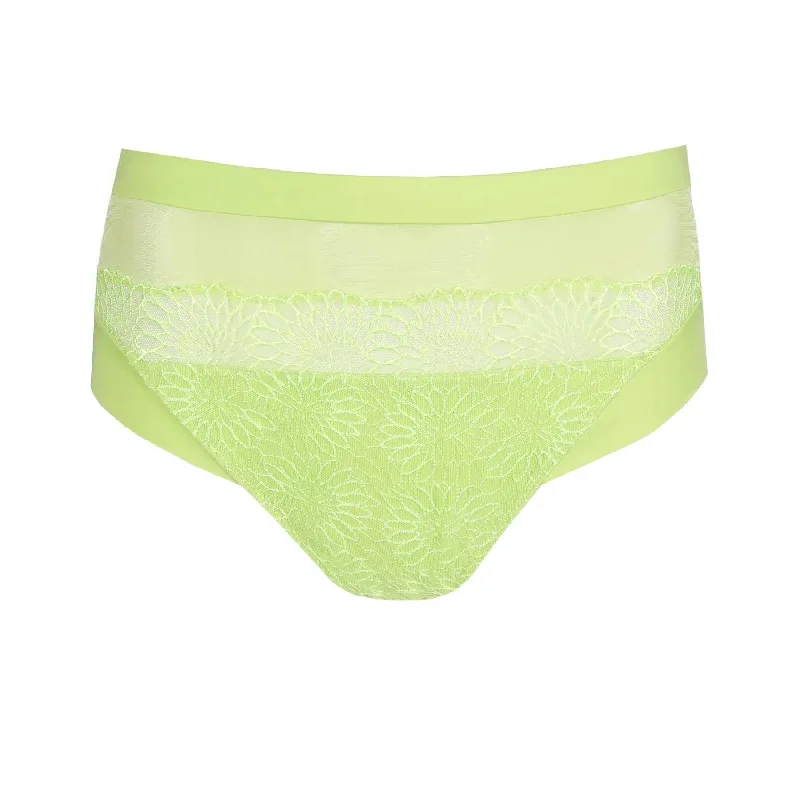 PrimaDonna Sophora Full Brief